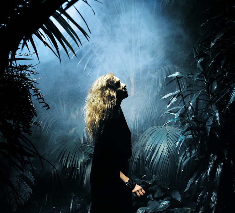 <br />
<b>Warning</b>:  Undefined variable $image in <b>/home/clients/50c95d3398b55c75be5453af8a73ca75/web/wp-content/themes/lri2022/parts/gal.php</b> on line <b>9</b><br />
<br />
<b>Warning</b>:  Trying to access array offset on value of type null in <b>/home/clients/50c95d3398b55c75be5453af8a73ca75/web/wp-content/themes/lri2022/parts/gal.php</b> on line <b>9</b><br />
